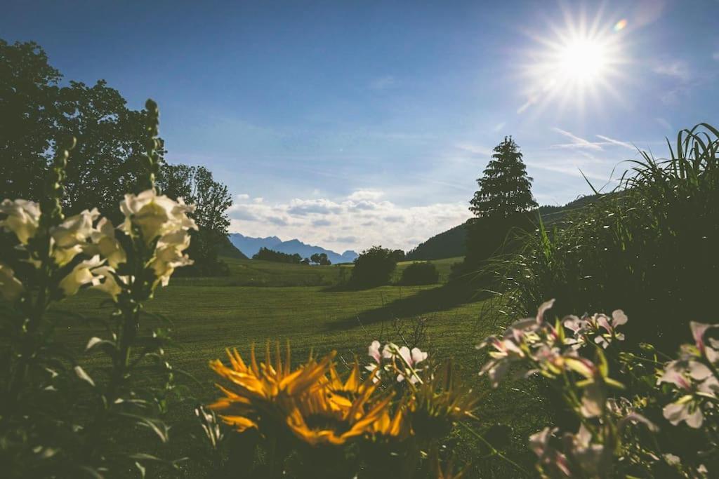 Fritzis Alpenidyll „Sommertraum & Winterromantik” Samerberg Bagian luar foto
