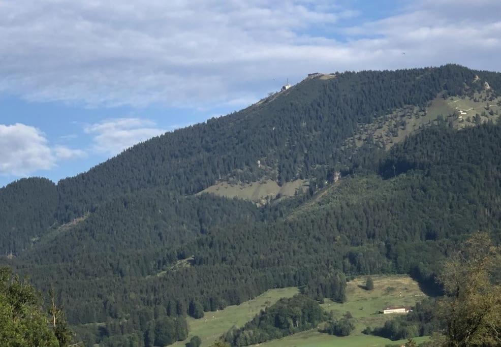 Fritzis Alpenidyll „Sommertraum & Winterromantik” Samerberg Bagian luar foto