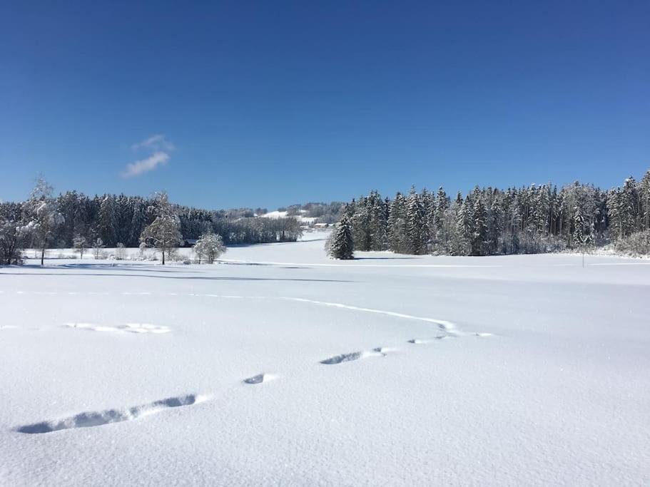 Fritzis Alpenidyll „Sommertraum & Winterromantik” Samerberg Bagian luar foto
