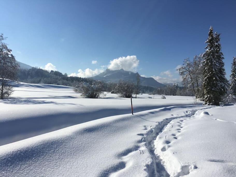 Fritzis Alpenidyll „Sommertraum & Winterromantik” Samerberg Bagian luar foto